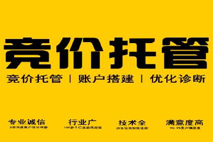 竞价SEM在旅游行业的应用案例分析